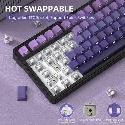 Gradient Purple